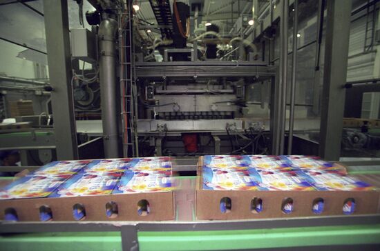 Youghurt and Dairy Factory