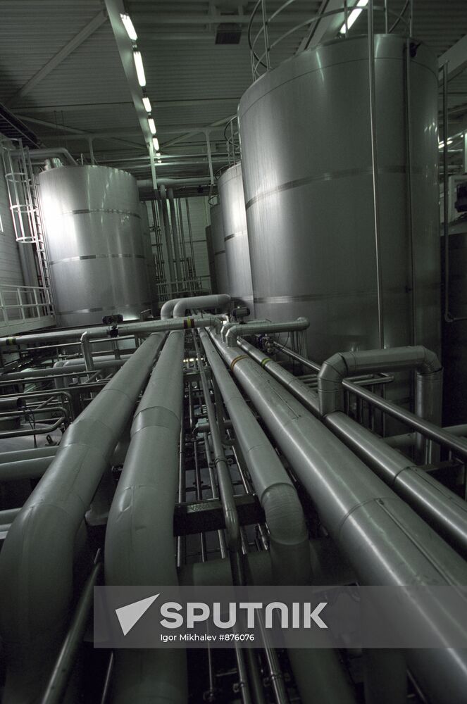 Yoghurt and Dairy Plant