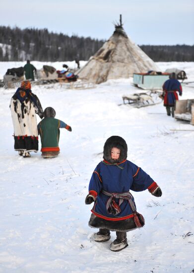 Nenets camp dwellers