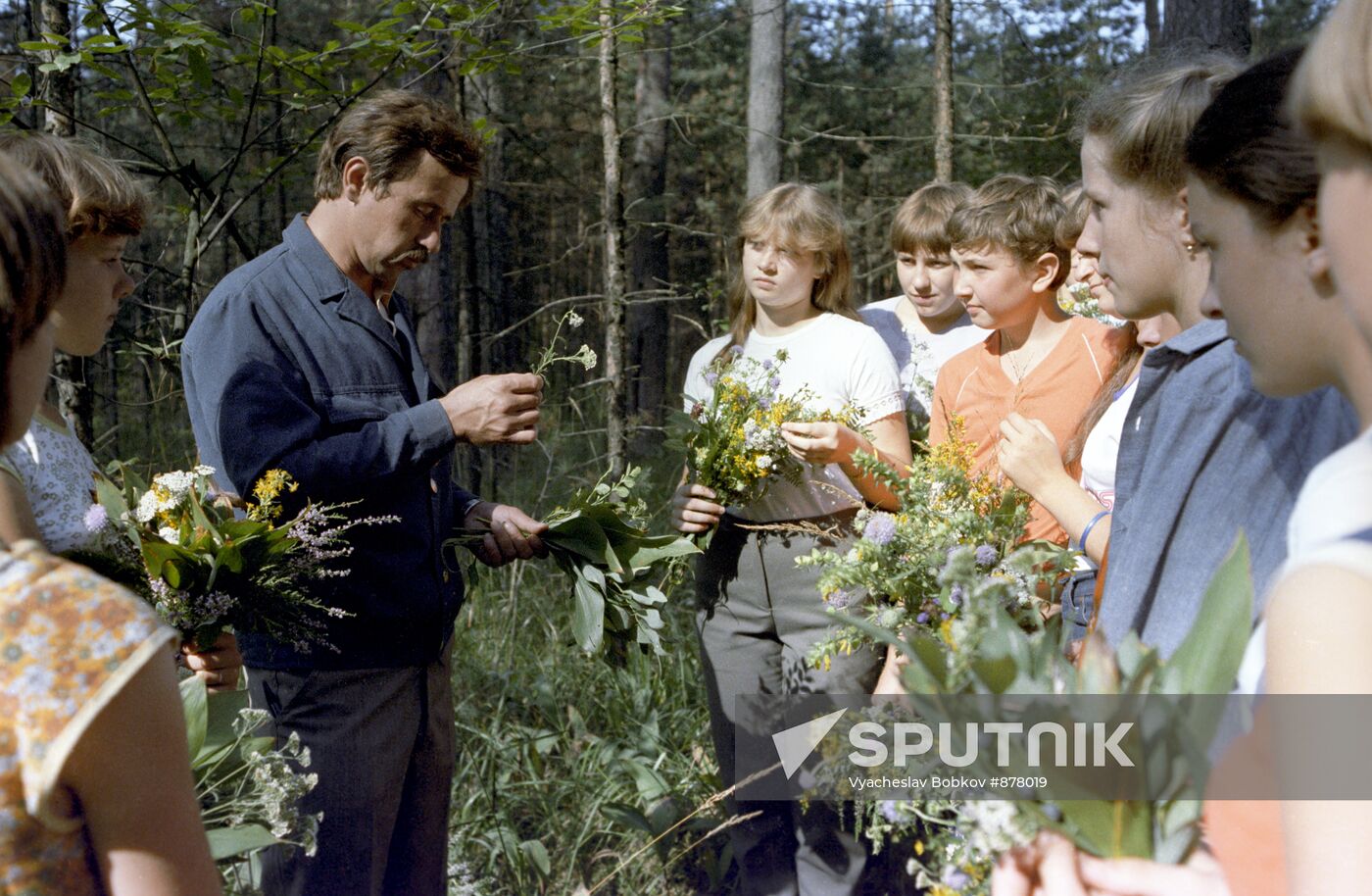 Zhukovskoye Forestry
