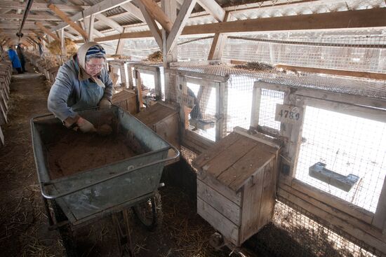 JSC "Pushkinsky Plant Breeding" in Moscow region