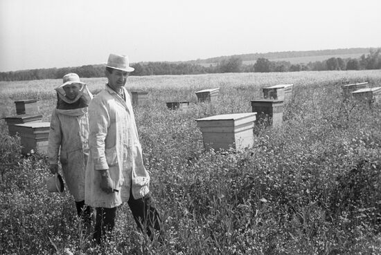 Apiary
