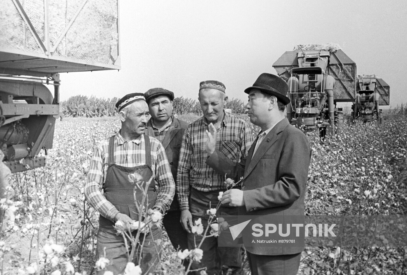 Collective farm Politotdel