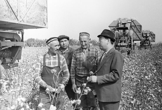 Collective farm Politotdel