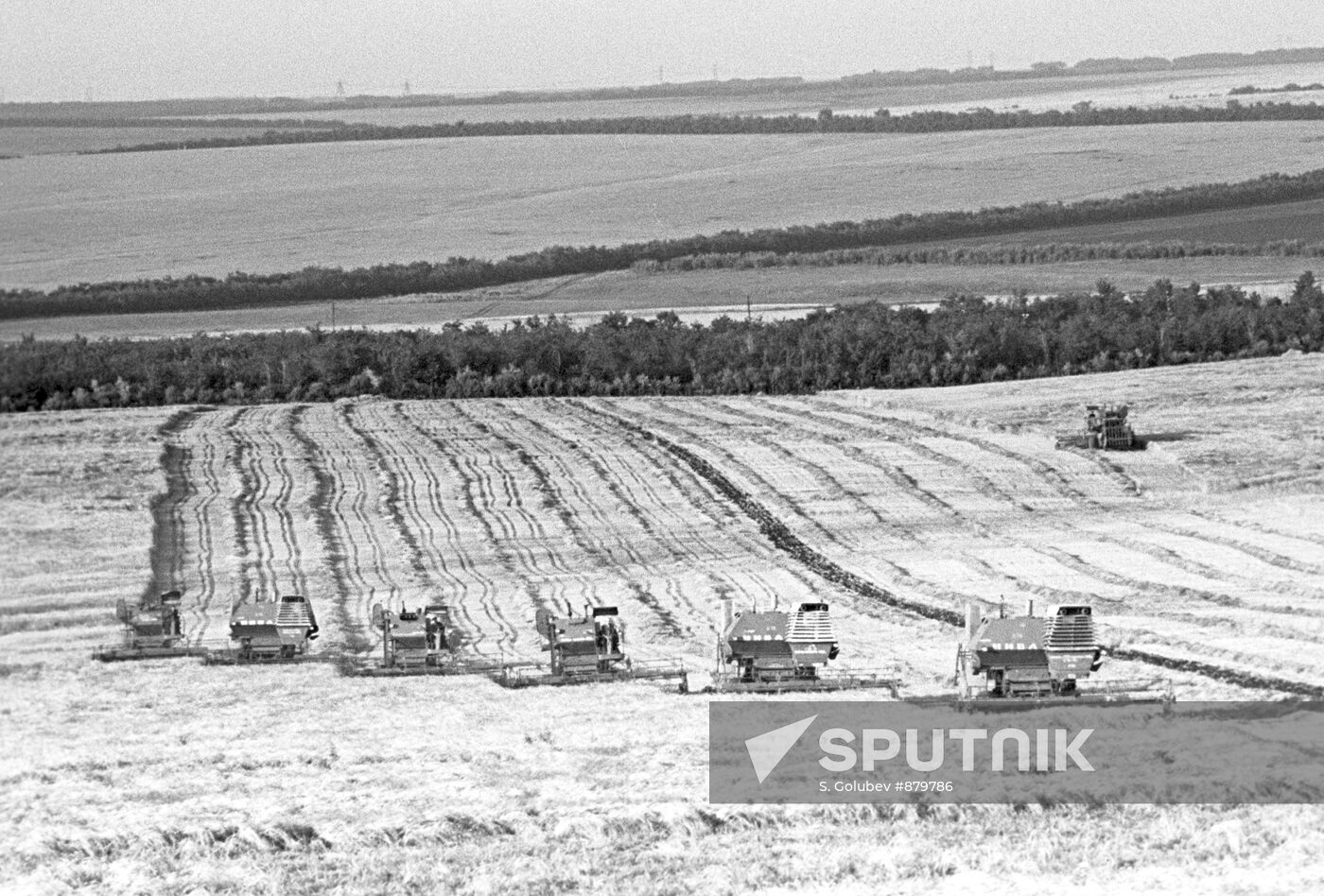 Barley harvesting