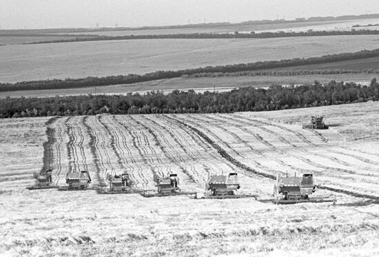 Barley harvesting