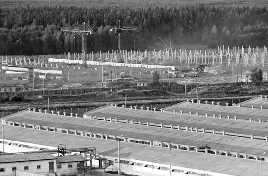 Pig fattening facility