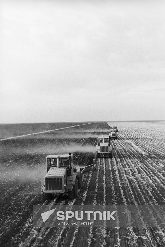 Fall-ploughing for cereal crop sowing