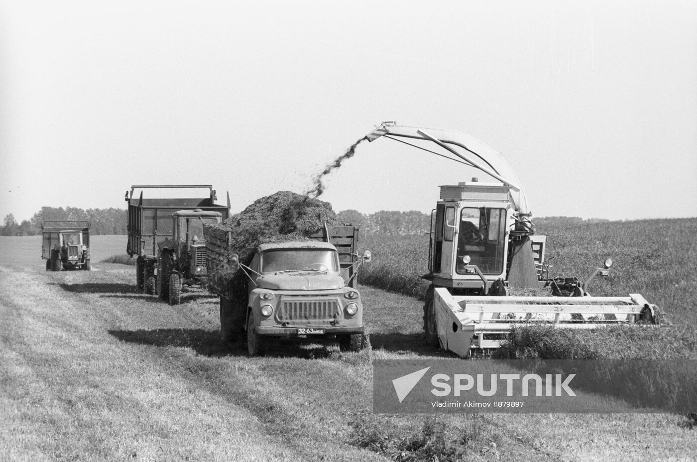 Procurement of fodder at Nikolai Gastello collective farm