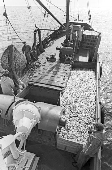 A fishing vessel