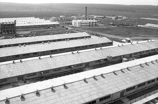 Swine factory