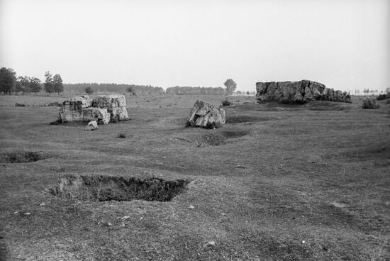 Hitler's bunker ruins