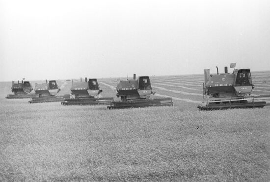 Plowing land for spring grain sowing