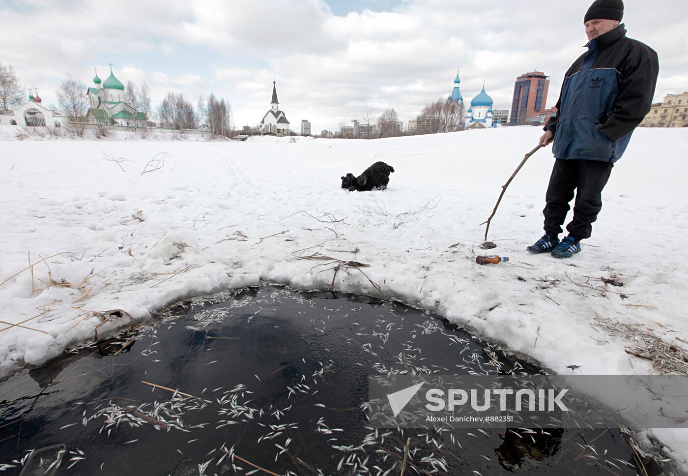 Winter kill in St Peterburg's Hero Cities Park