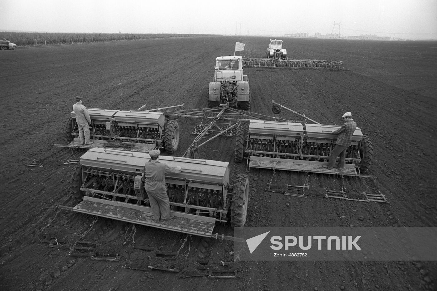 Winter crops sowing