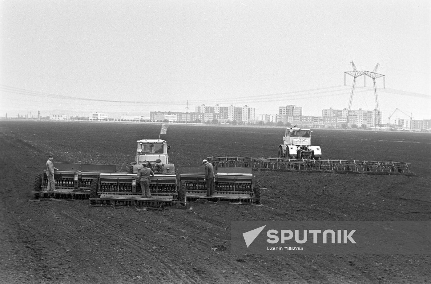 Winter crops sowing