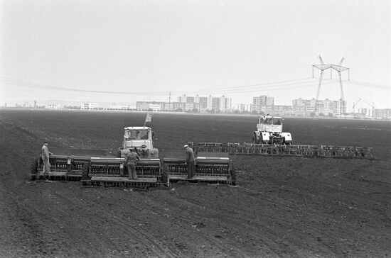 Winter crops sowing