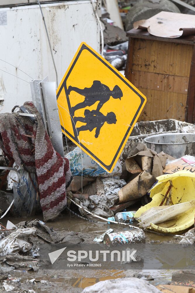 Japan earthquake aftermath