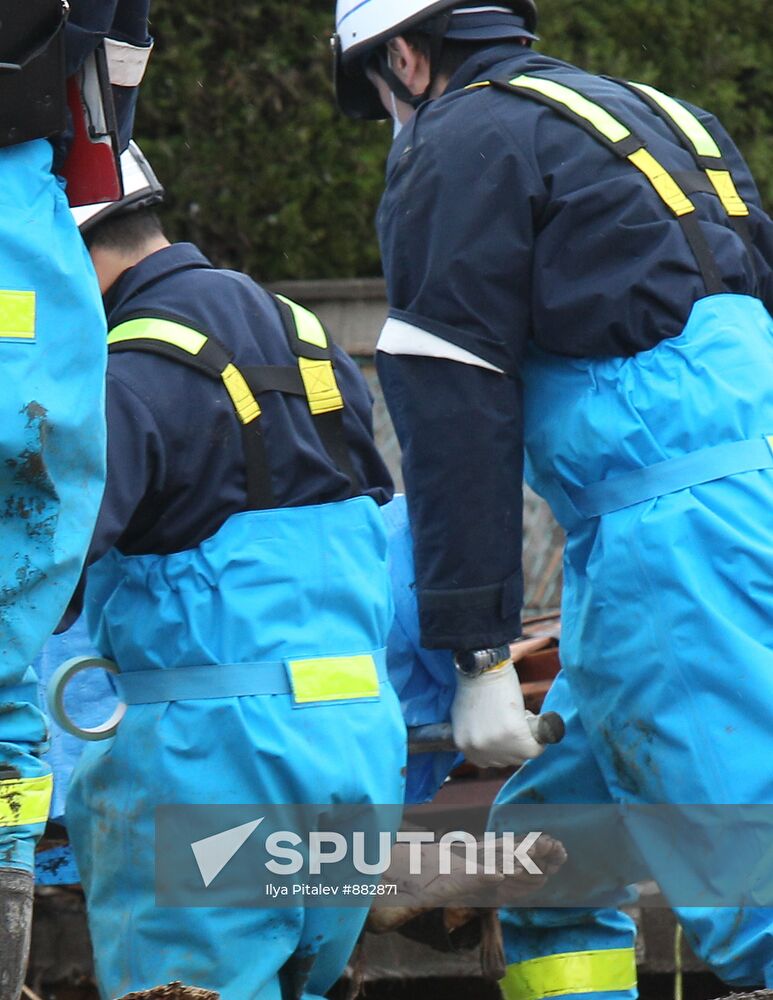 Japan earthquake aftermath