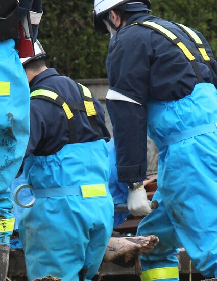 Japan earthquake aftermath