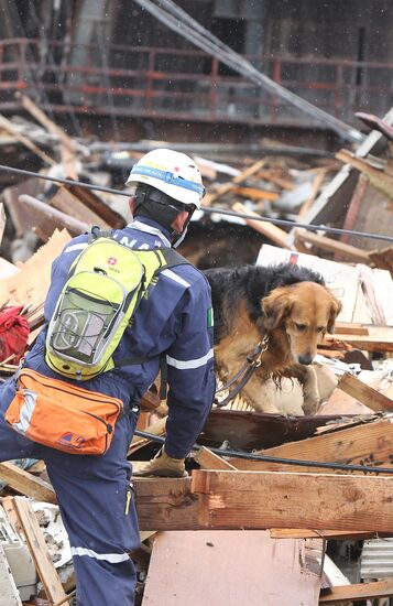 Japan earthquake aftermath