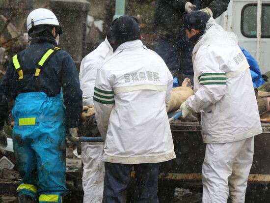 Japan earthquake aftermath