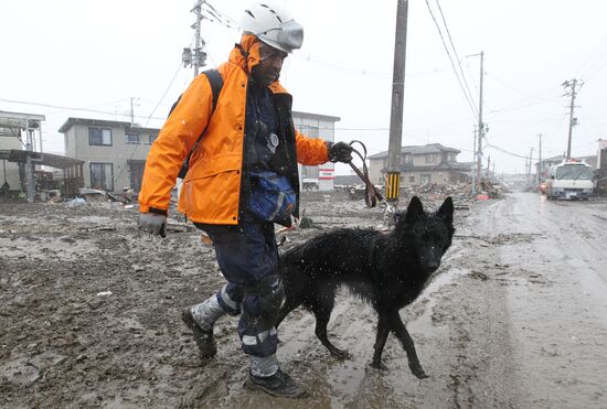 Japan earthquake aftermath