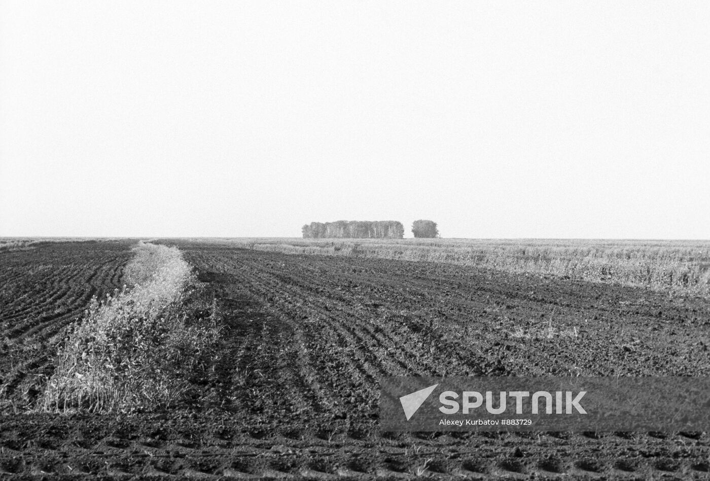 The Dobrovolsky state farm