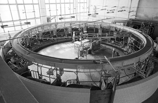 Mechanized milking shop