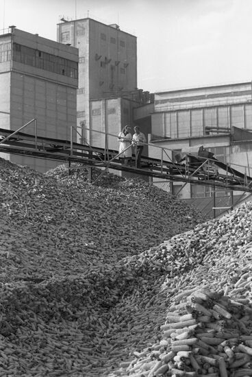 The Timoshevsky grain elevator