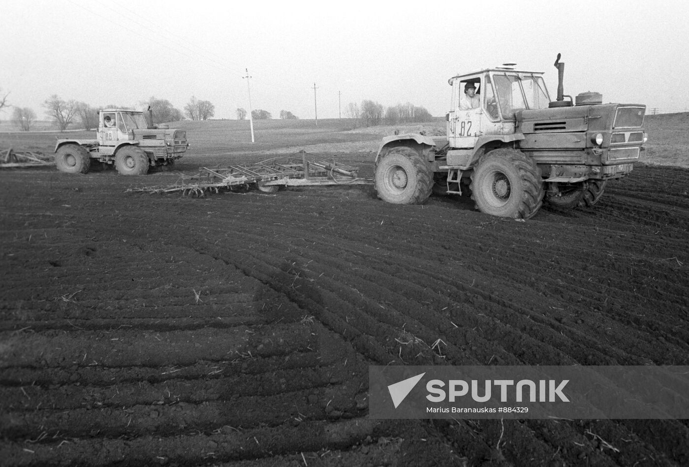 Sowing campaign