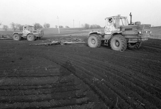 Sowing campaign