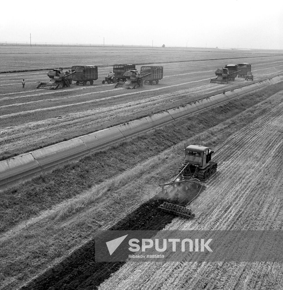 Fields of Kirov collective farm