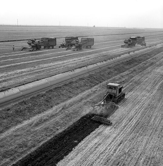 Fields of Kirov collective farm