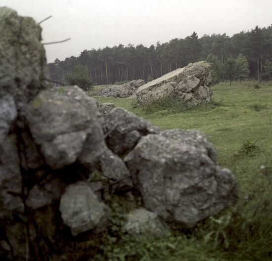 Ruins of Hitler's bunker Wehrwolf