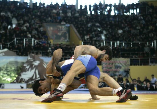 2011 Freestyle Wrestling World Cup