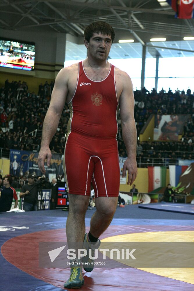 2011 Freestyle Wrestling World Cup
