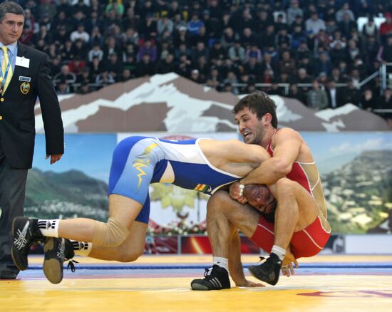 2011 Freestyle Wrestling World Cup