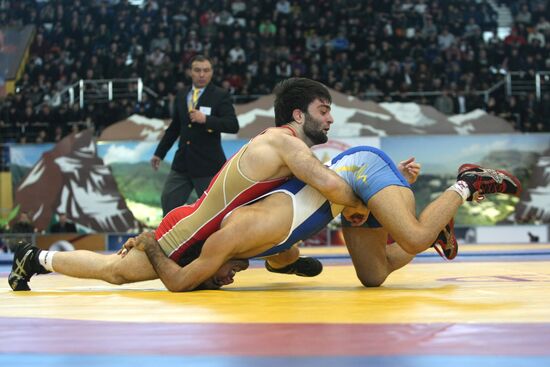 2011 Freestyle Wrestling World Cup