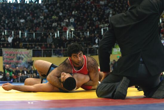 2011 Freestyle Wrestling World Cup