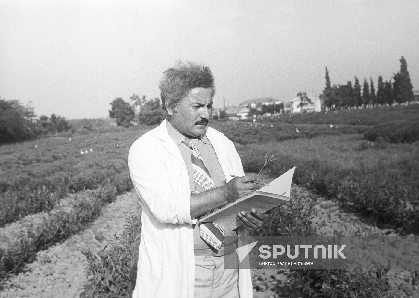 F,Kuliyev in experimental field