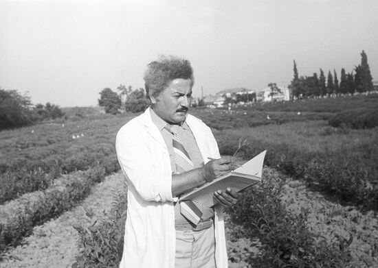 F,Kuliyev in experimental field
