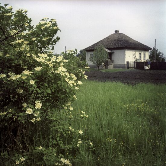 The Cossack village of Veshenskaya