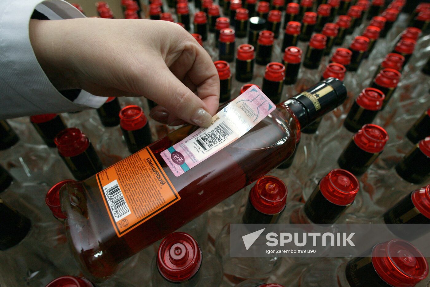 Work at "SPI-RVVC" distillery in Kaliningrad