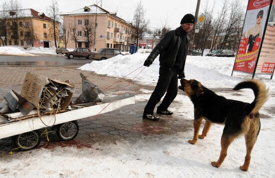 Stray dog