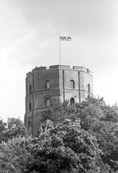Lithuanian national flag on the Gediminas' Tower