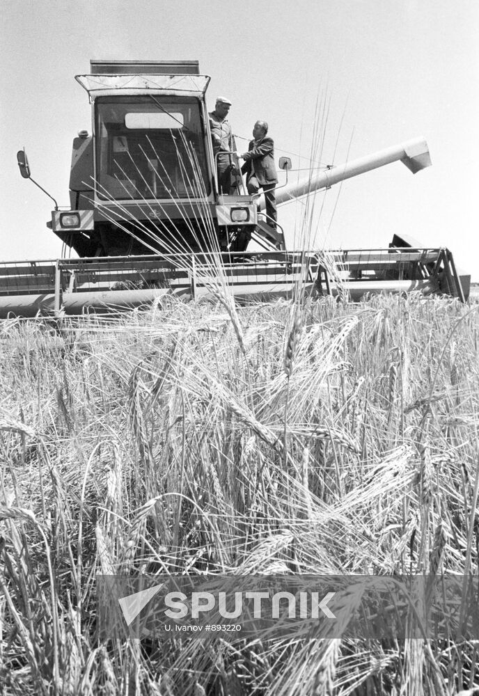 Collective farm "Soviet Belorussia"