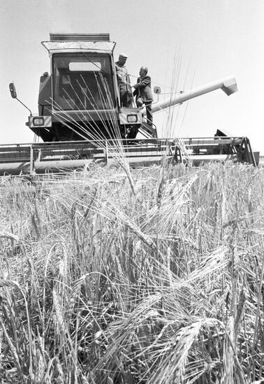 Collective farm "Soviet Belorussia"