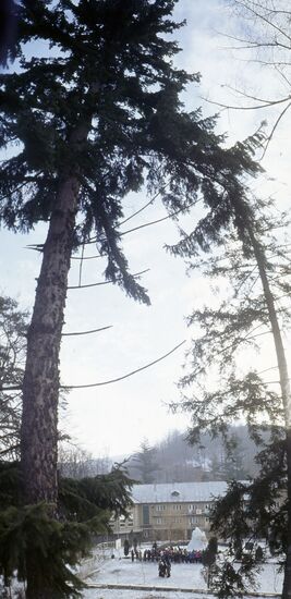 Transcarpathia