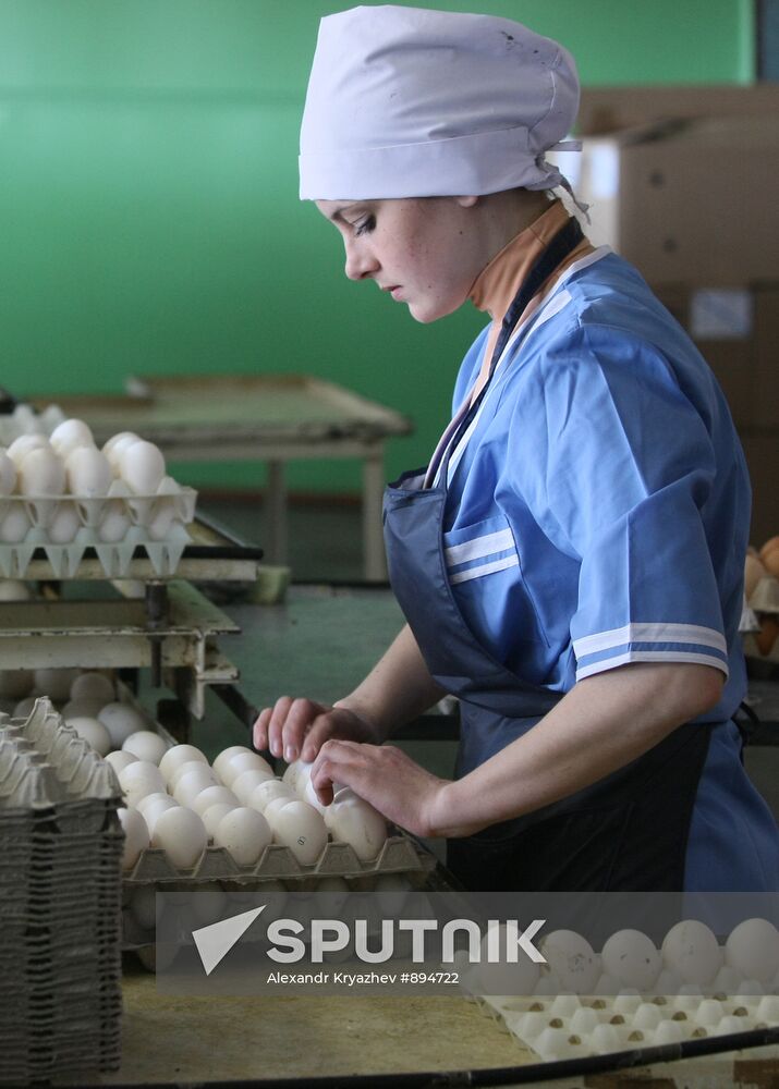 Poultry plant in Novosibirsk region